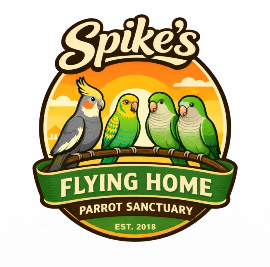 Spike's Flying Home Rescue Bundle