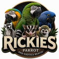 Rickie's Parrot Rescue and Sanctuary