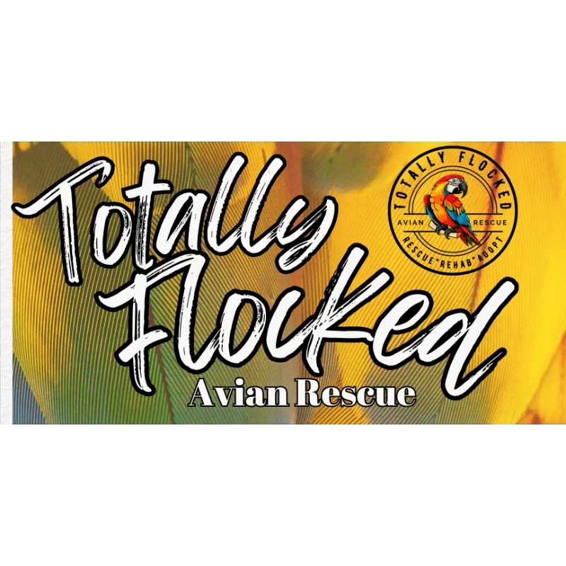 Totally Flocked Gift Bundle