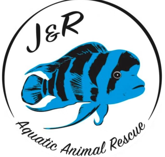 J&R Animal Rescue Gift Box