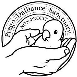 Prego Dalliance Sanctuary Bundle