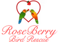 RoseBerry Bird Rescue Bundle