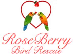 RoseBerry Bird Rescue Bundle