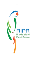 Rhode Island Parrot Rescue Gift Bundle