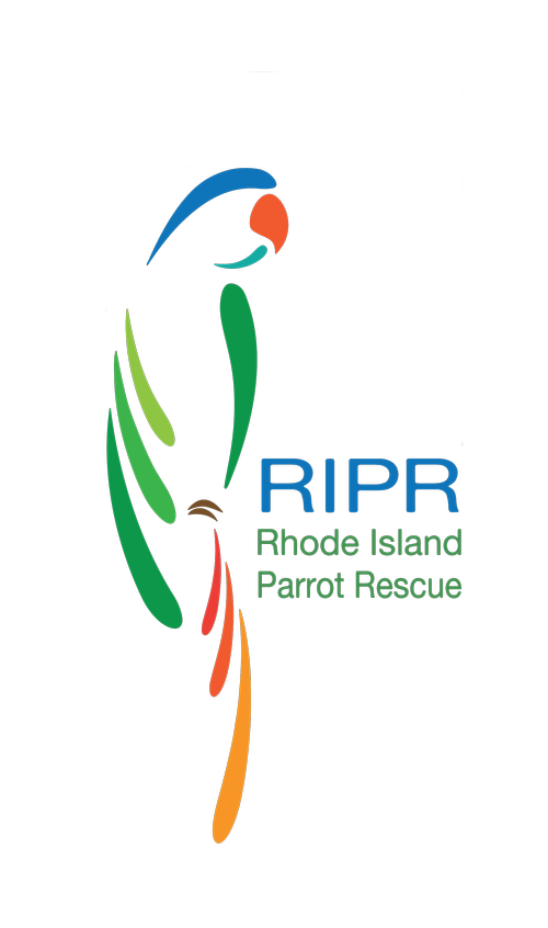 Rhode Island Parrot Rescue Gift Bundle