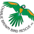Charlie Brown Bird Rescue Gift Bundle