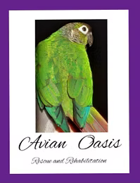 Avian Oasis Rescue and Rehab Gift Bundle
