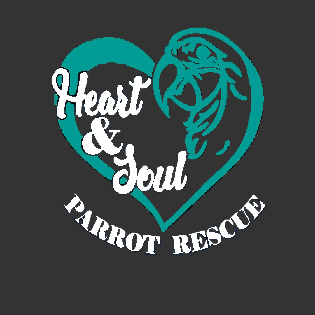 Heart and Soul Parrot Rescue Gift Bundle