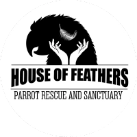 House of Feathers Gift Bundle