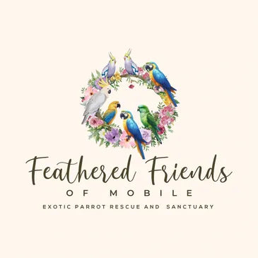 Feathered Friends of Mobile Gift Bundle